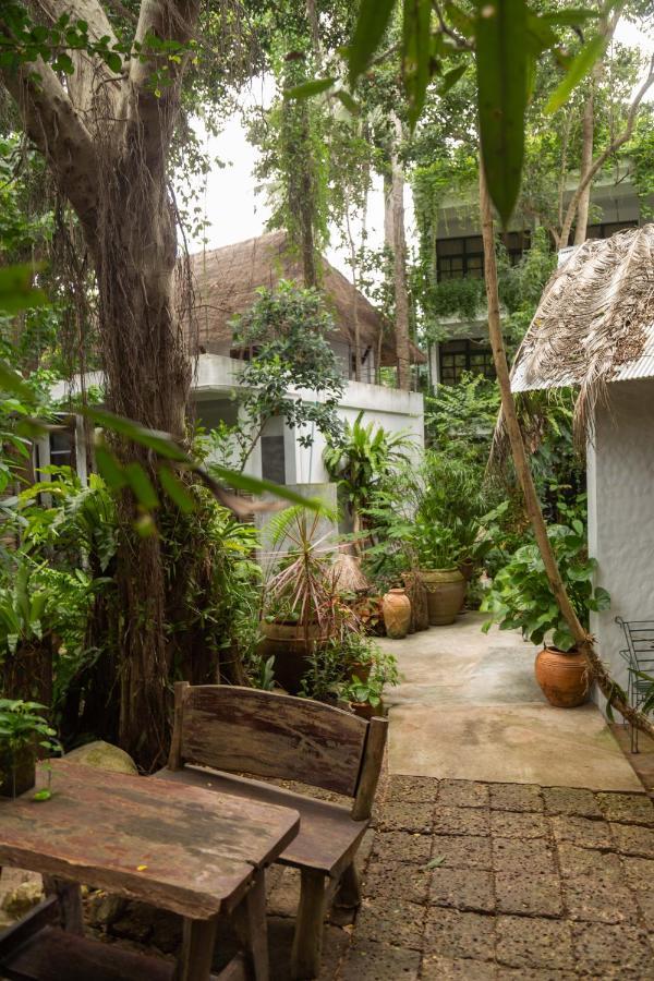 Hotel Big Tree Boutique 3*
