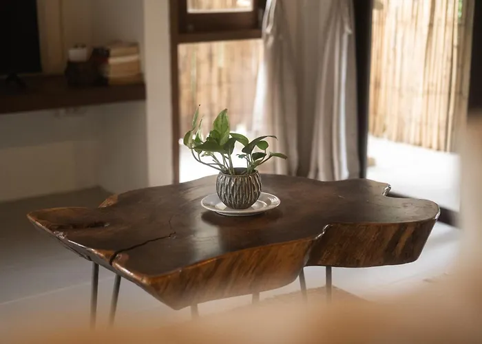 Big Tree Boutique Hotel