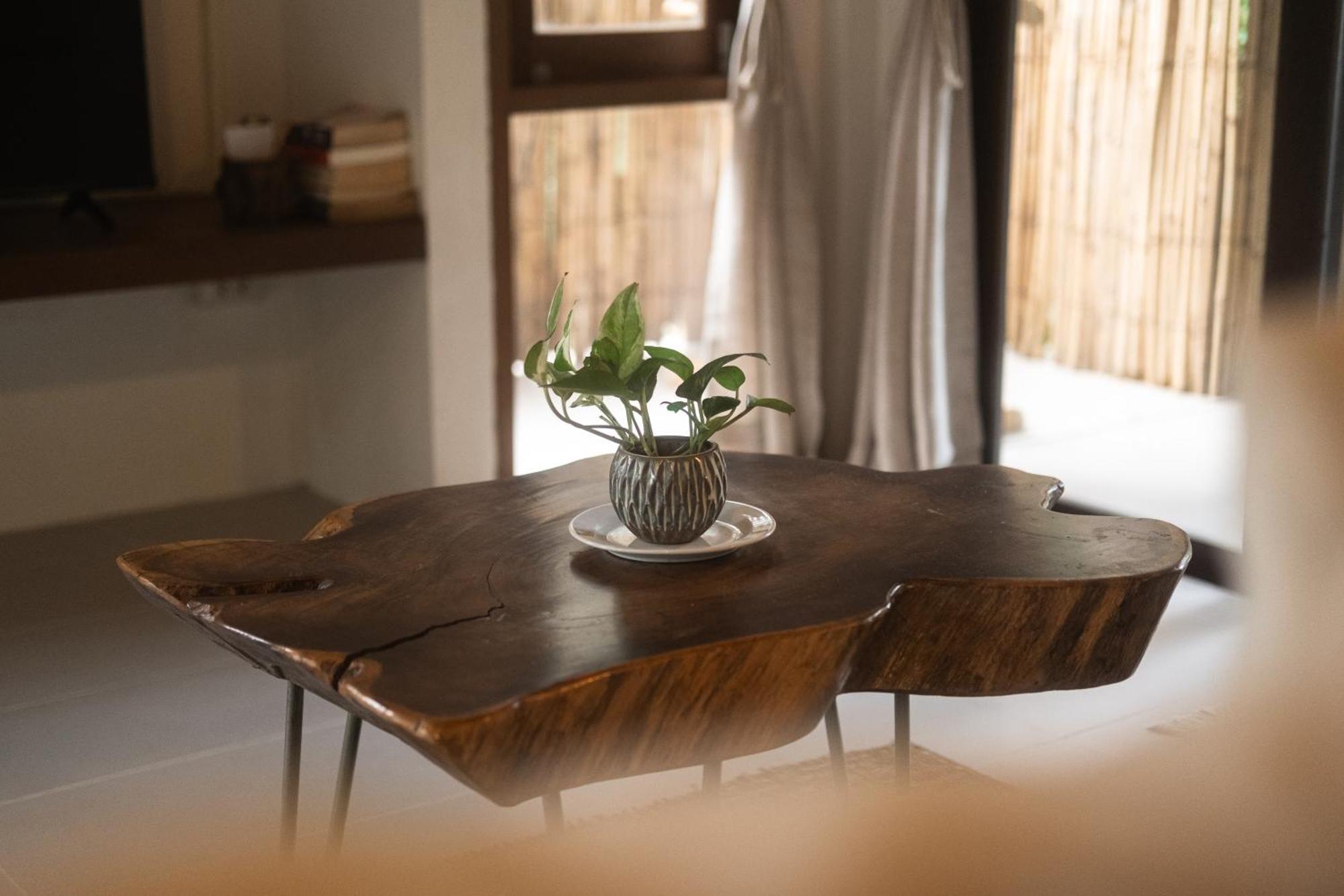 Big Tree Boutique Hotel 3*